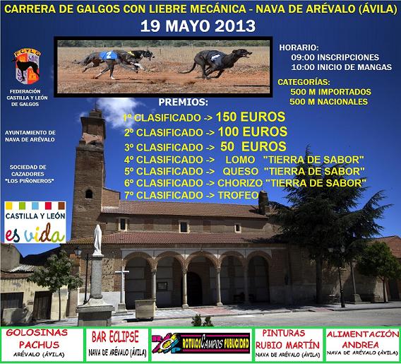 CARTEL NAVA DE AREVALO 2013