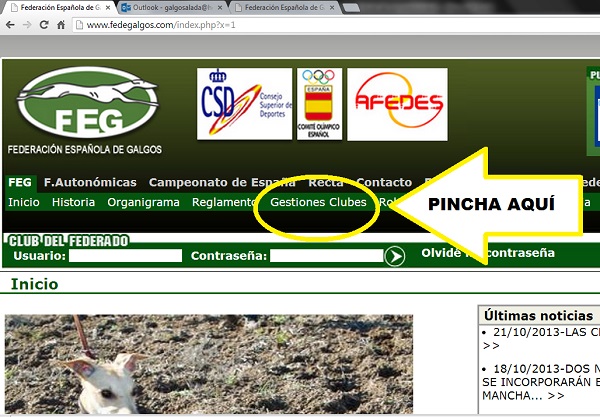 PACE1