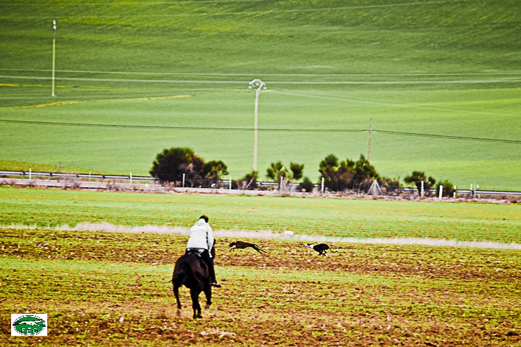 Semifinal Copa de Ávila