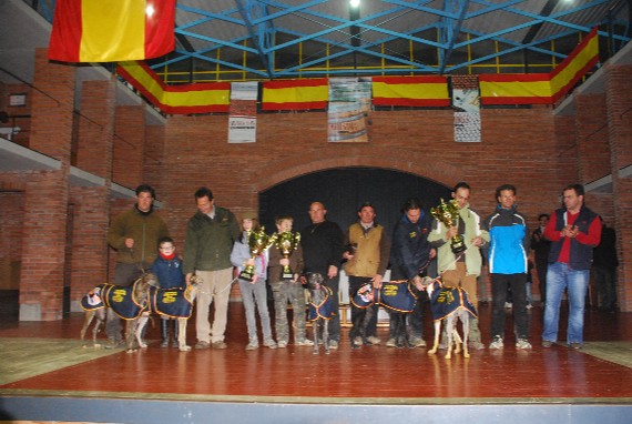 DIETA PARA PROPIETARIOS DE GALGOS QUE REPRESENTEN A LA FCLG