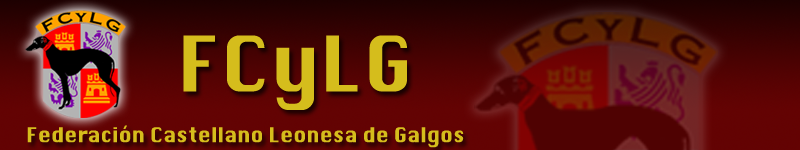 CITA FINAL GRUPO MIXTO