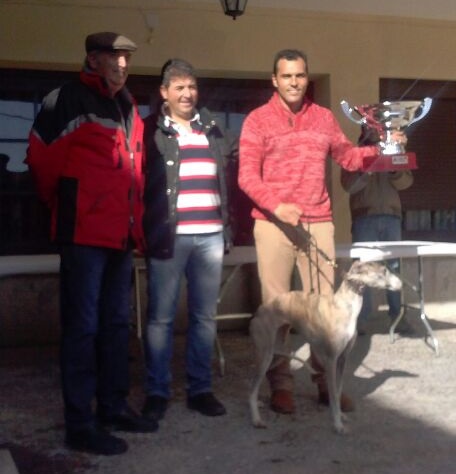 campeonadavid