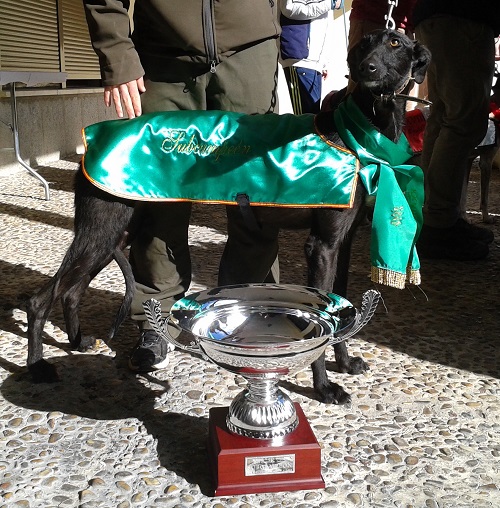 subcampeona