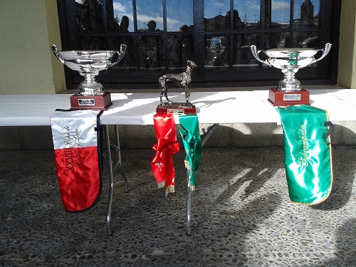 trofeos