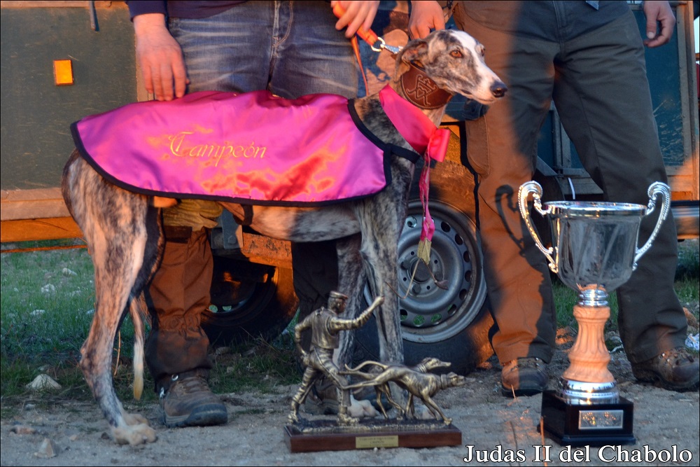 JUDAS II DE LA GUAREÑA, CAMPEÓN DE LA COPA LEÓN
