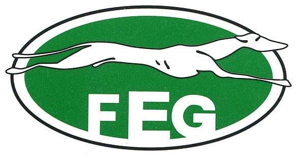 LA FEDERACIÓN ESPAÑOLA DE GALGOS DENUNCIA AL DOCUMENTAL «Febrero, el miedo de los galgos»
