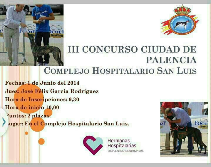 III MORFOLÓGICO CIUDAD DE PALENCIA