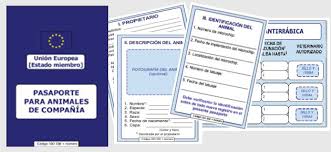 SOBRE LA VALIDEZ DE LAS ANTIGUAS CARTILLAS Y/O PASAPORTES DE PERROS EN CASTILLA Y LEÓN