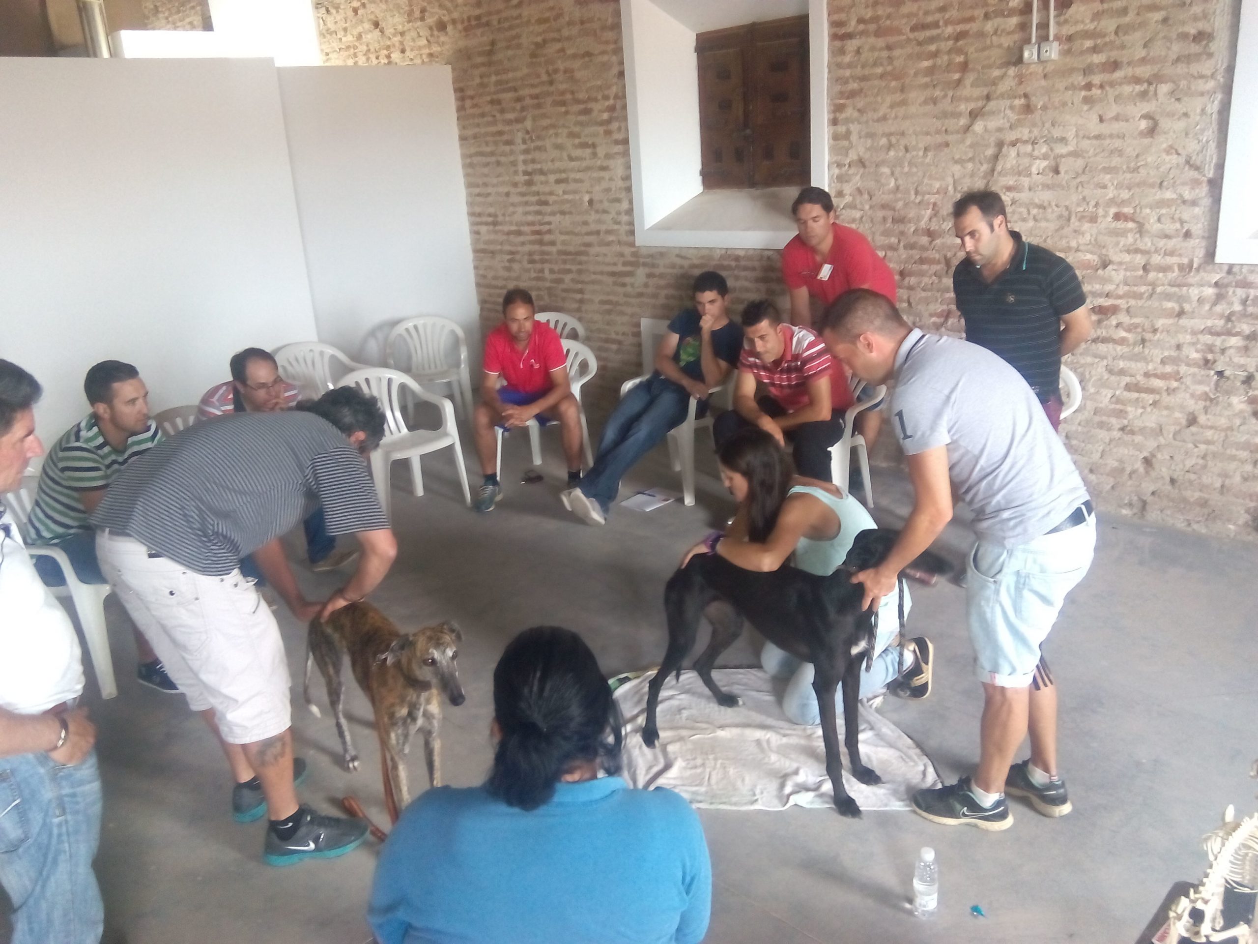 PRÁCTICO Y ESPECÍFICO, EL TALLER DE TERAPIAS MANUALES CANINAS