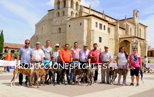 grupo amigos