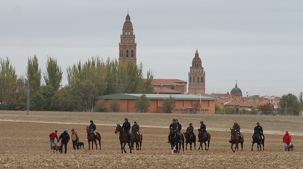 CRÓNICA 8 DE NOVIEMBRE