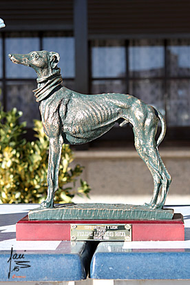 FINAL DE LA XXXI EDICIÓN DE LA COPA DE CASTILLA