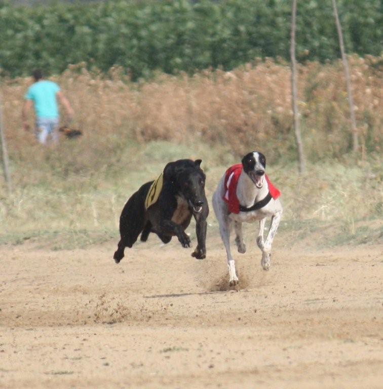 5BOLT 1 LEO