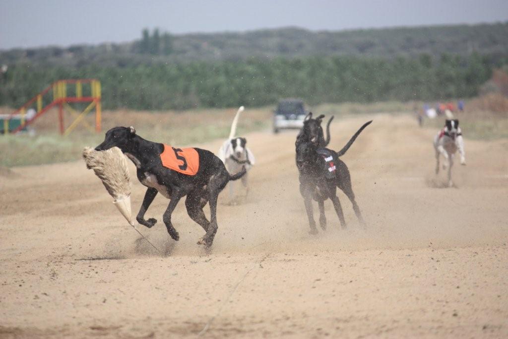 5BOLT 6TAYSON