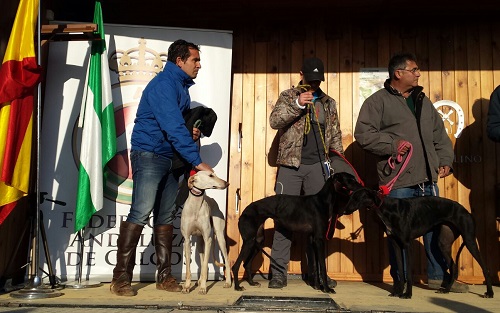 NO PUDO SER CON CHANEL DE MORIS Y CYL LLEVARÁ 4 GALGAS AL NACIONAL