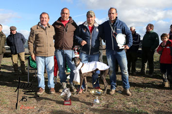 subcampeon copa avila AG5Y1402