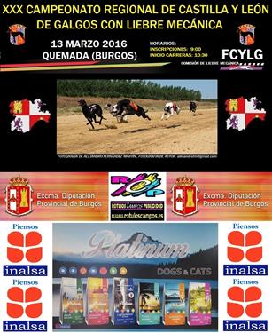 EL XXX CAMPEONATO REGIONAL DE CASTILLA Y LEÓN DE GALGOS CON LIEBRE MECÁNICA YA TIENE FECHA.