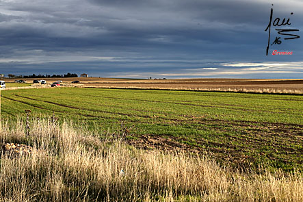 AG5Y1347