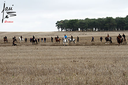 IMG 7707