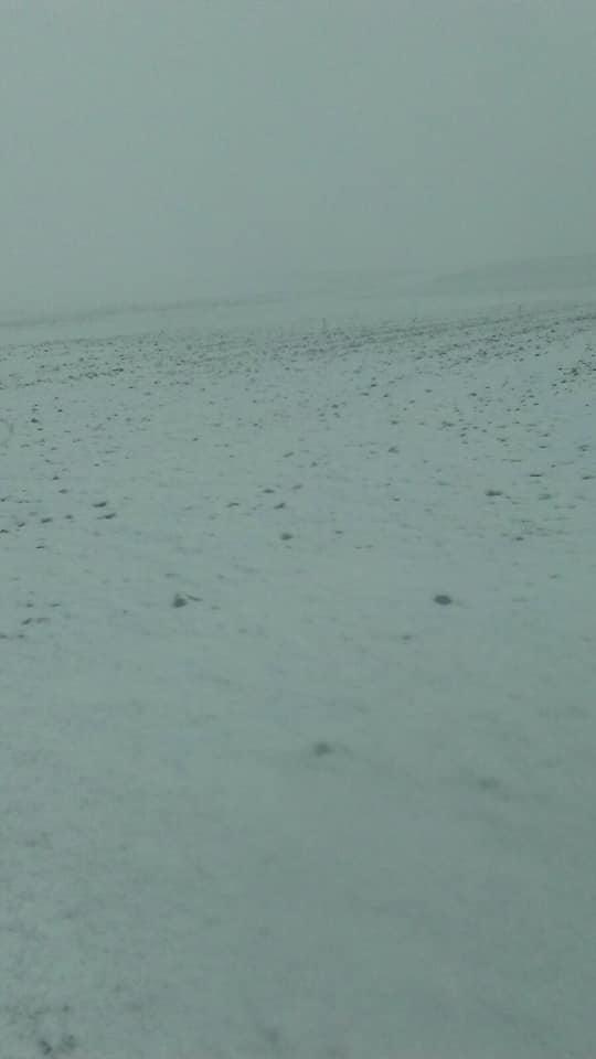 NIEVA