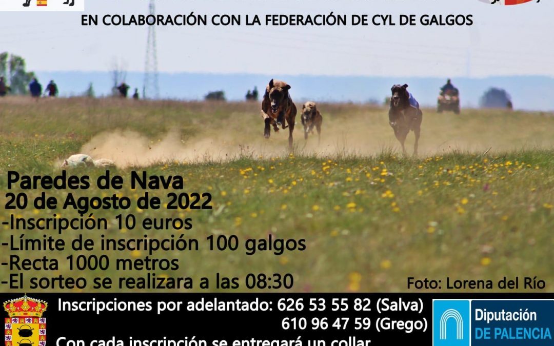 VII CARRERA INFANTIL » EL CORDEL DE LA DISCORDIA»