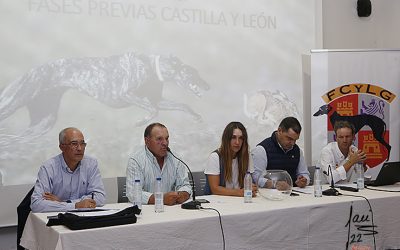 INFORMACIÓN DE INTERÉS, FASES PREVIAS DE CASTILLA Y LEÓN