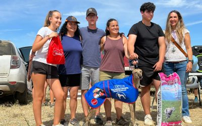 IX CARRERA INFANTIL: PAREDES DE NAVA