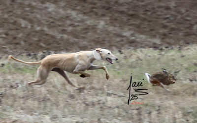 CITA 6,7 Y 8 DE DIC DE 2025