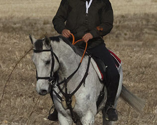 CRÓNICA 8 DE DIC DE 2025