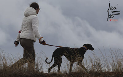 CRÓNICA  20 NOV  DE 2025