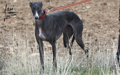 CITA COLLERAS 22 Y 23 DE NOV DE 2025