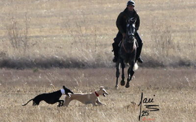 Cita Colleras 13 de Nov de 2025