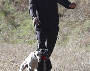 CRÓNICA  22 DE NOV DE 2025