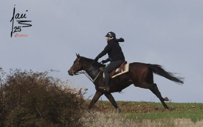 CRÓNICA 9 DE NOV DE 2025