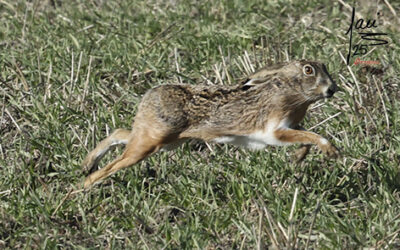 CRÓNICA 7 DE DIC DE 2025