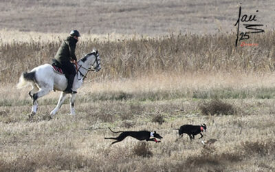 CRÓNICA 27 DE NOV DE 2025