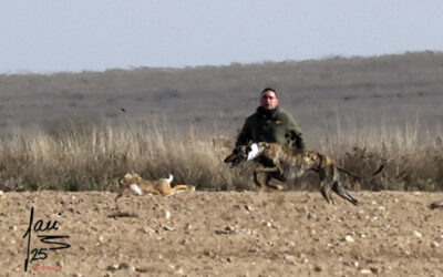 CRÓNICA 6 DE DIC DE 2025