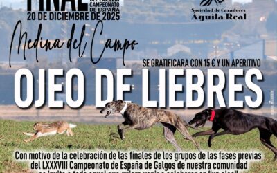 FINALES DE LAS FASES PRÉVIAS DEL LXXXVIII CTO DE ESPAÑA DE GALGOS EN CAMPO, EN CASTILLA Y LEÓN