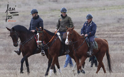 CRÓNICA FINALES 20 DE DIC DE 2025