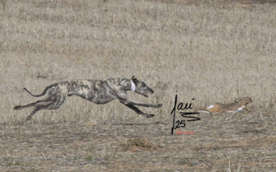 CITA FINALES 21 DE DIC DE 2025