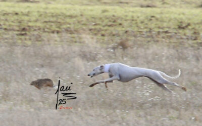 Modificaciones a la cita del 13 y 14 de dic de 2025