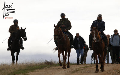 CITA COLLERAS SEMIFINALES. 13 Y 14 DE DIC DE 2025